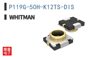 P119G-50H-K12TS-DIS ͼƬ